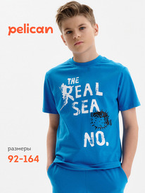 12.04  Pelican �������� ��� ��������� BFT3389/2 ��������