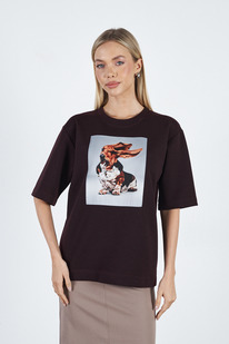 66234 �������