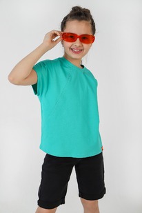 ����� ������� (��������) ��� ������� ������-1 ��-010 ����������