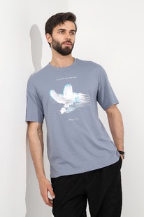 ����� ������� (��������) ������� �����-4 ��-036 �����