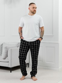 ����� ������� ���-1.1 ��-035 ������ ���������