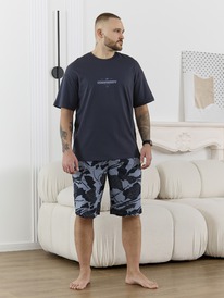 ������ ������� ������ ��-172 ����������