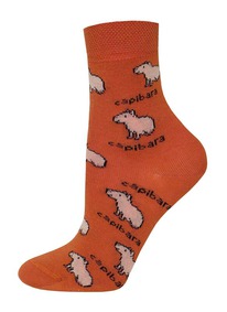 22.04 ��������� ������������ ��������� ����� ������� 3081 SCHOOL 14�3081 ����� 1