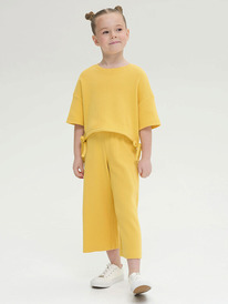 12.04  Pelican �������� ��� ������� GFATP3317 ������