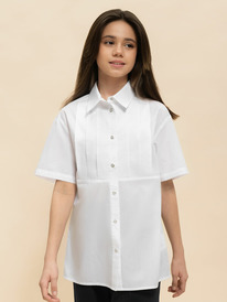 12.04  Pelican ������ ��� ������� GWCT7139 �����