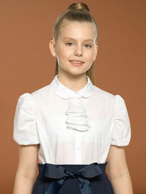 12.04  Pelican ������ ��� ������� GWCT7113 �����