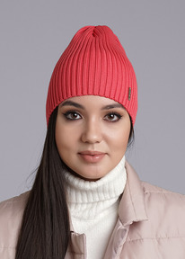 �����  Clever ����� ������� CLE 543998�� ���������