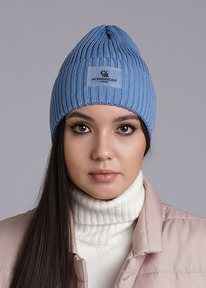 �����  Clever ����� ������� CLE 544001�� �������