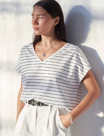 �������� � ������� � V-������� � ������������� ������� �� ������������ ������