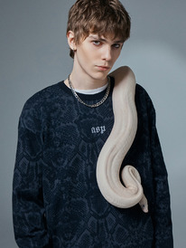 21.04 Mark Formelle �������� ������� 121902 121902 ������� ���� 18112