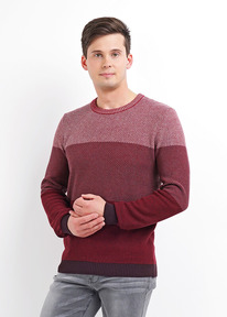 21.04 Clever ������� ������� CLE 492616�� ��������