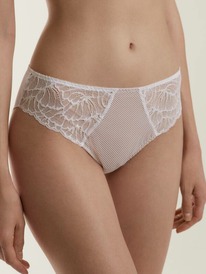 02.05  CONTE ELEGANT ����� CONTE ELLE TP3123 ����� ������� 22�-0008��� ����� TP3