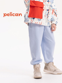 01.06 Pelican ����� ��� ������� GFPQ3319/2U ���