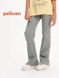 01.06 Pelican ����� ��� ������� GFL3352 ������-�������