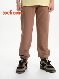 01.06 Pelican ����� ��� ��������� BFPQ3321U ����������