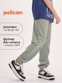 01.06 Pelican ����� ��� ��������� BFPQ3321U ������-�������