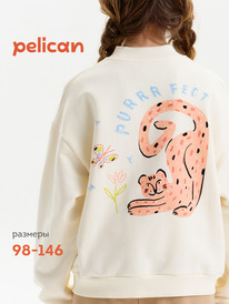 13.07 Pelican ��������� ��� ������� GFX3390U ��������