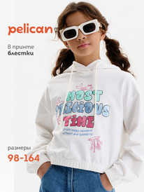 13.07 Pelican ��������� ��� ������� GFNJ3389 ��������