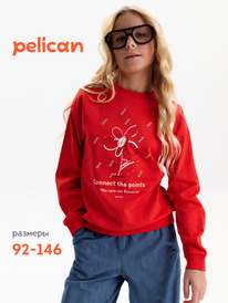 13.07 Pelican ��������� ��� ������� GFN3388 �������