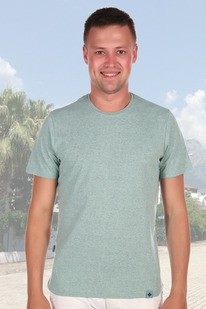 �������� 1650