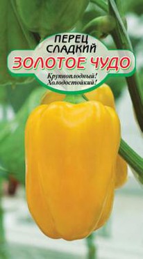 ������� ���� ����� �������