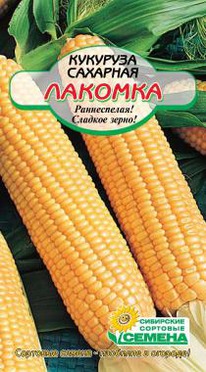 ������� �������� ��������