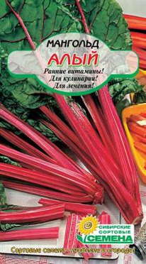 �������� ����