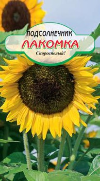 ������������ �������