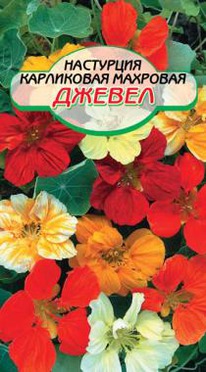 ������, ����� ���������� ���� ���������