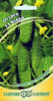 ����� F1 ������