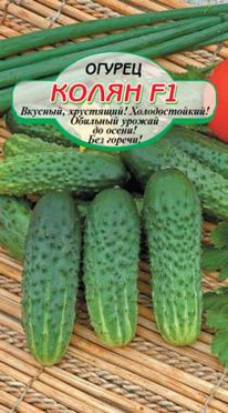 ����� F1 ������