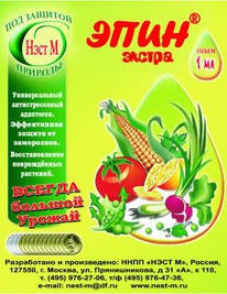 ����-������ 1�� ��������� ����� (500 ��/���)