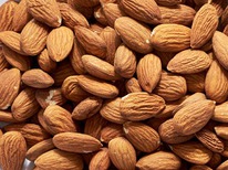 ���� ������� �/� �������