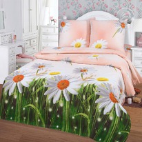 ������� ��� ���� �������