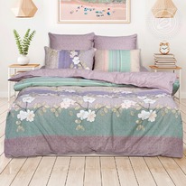 �������� ��� �����