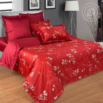 ������ ��� ����-�����