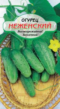 ��������� ������ ��