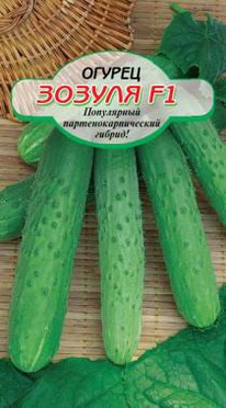 ������ F1 ������  ����