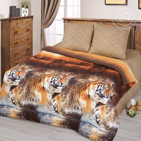 ������ ��� ���� �������